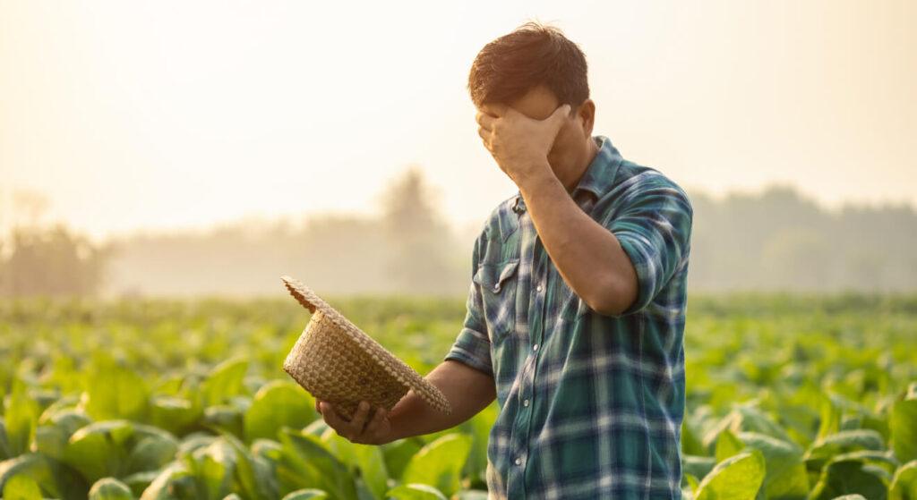 Farmers Blame Herbicide Paraquat for Health Decline